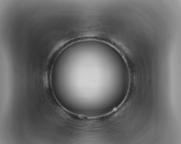 X0000112161262200908071131