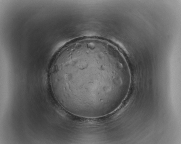 X0000112161263200908071131