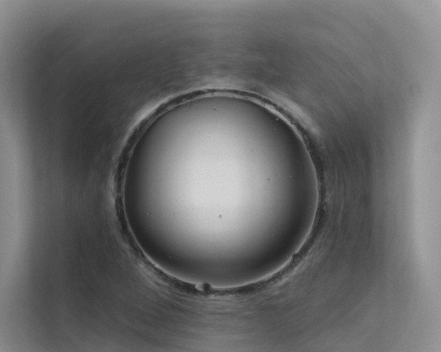 X0000112161264200908071131