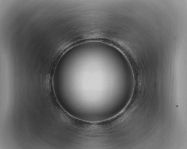 X0000112161265200908071131
