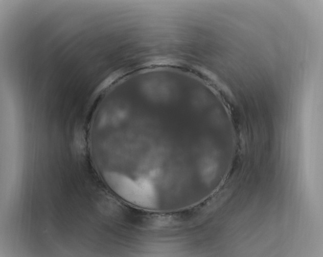 X0000112161266200908071131