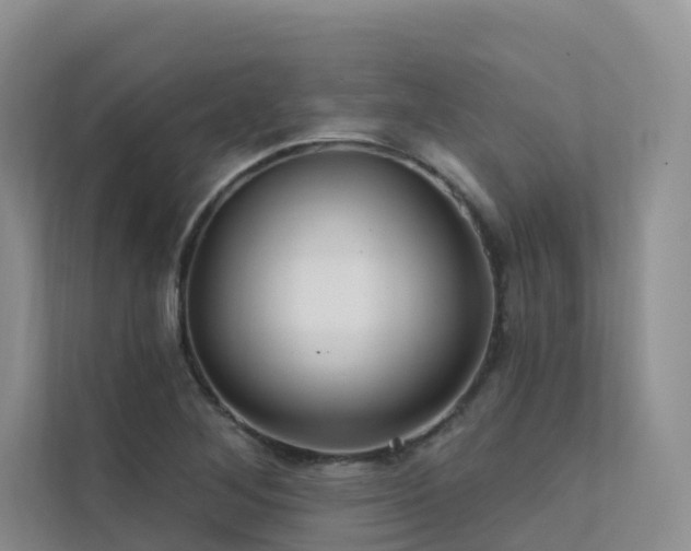 X0000112161268200908071131