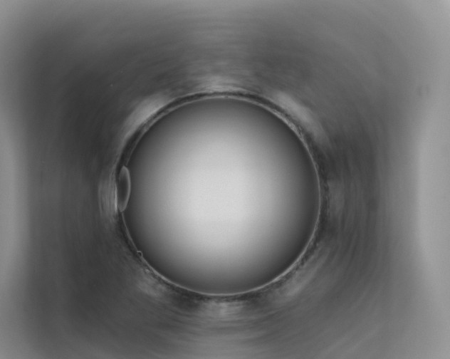 X0000112161269200908071131