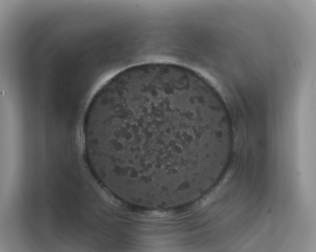 X0000112161271200908071131