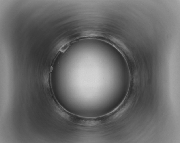 X0000112161273200908071131
