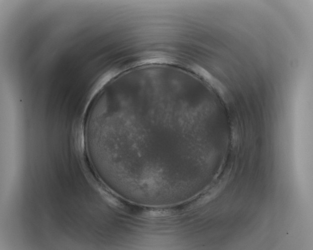 X0000112161274200908071131
