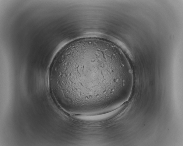 X0000112161275200908071131