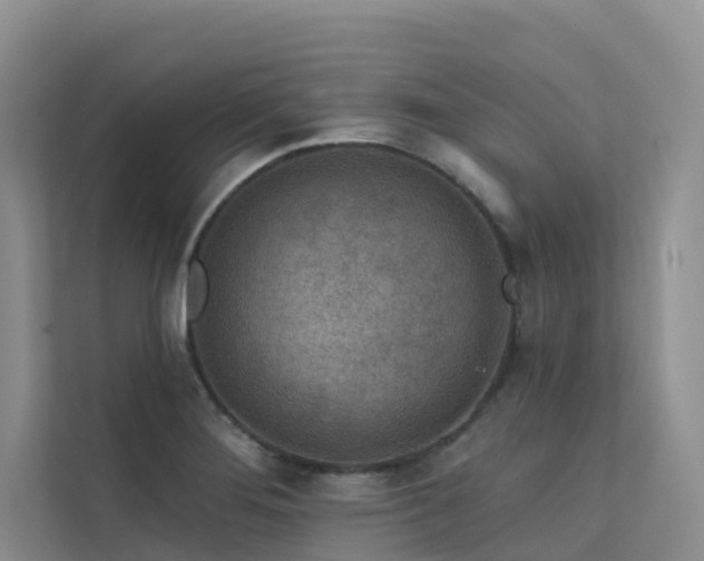 X0000112161276200908071131