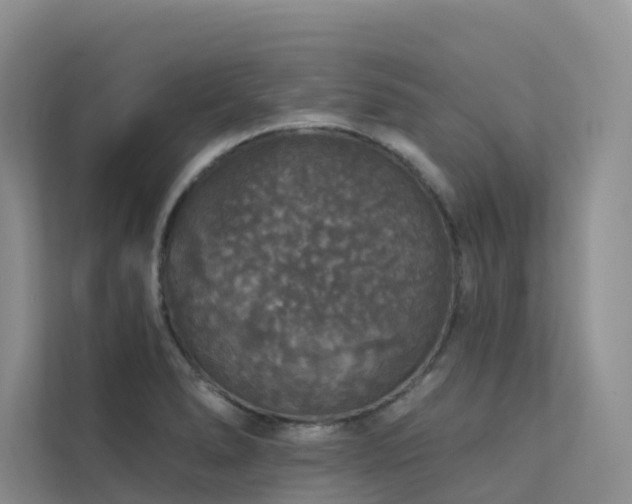X0000112161278200908071131