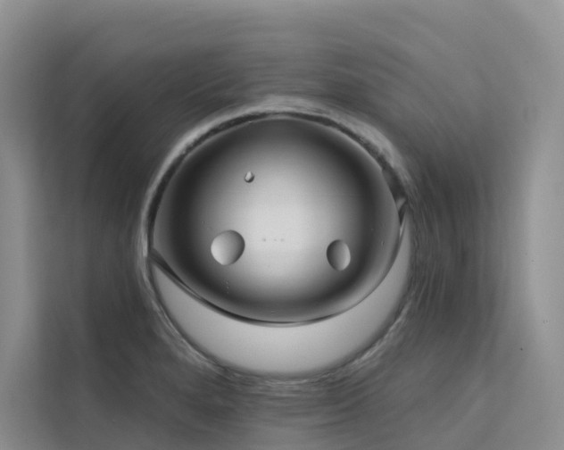 X0000112161280200908071131