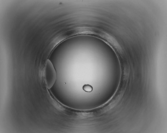 X0000112161281200908071131