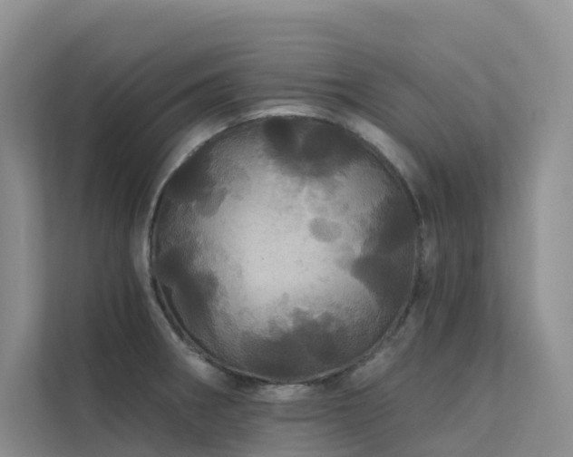 X0000112161282200908071131