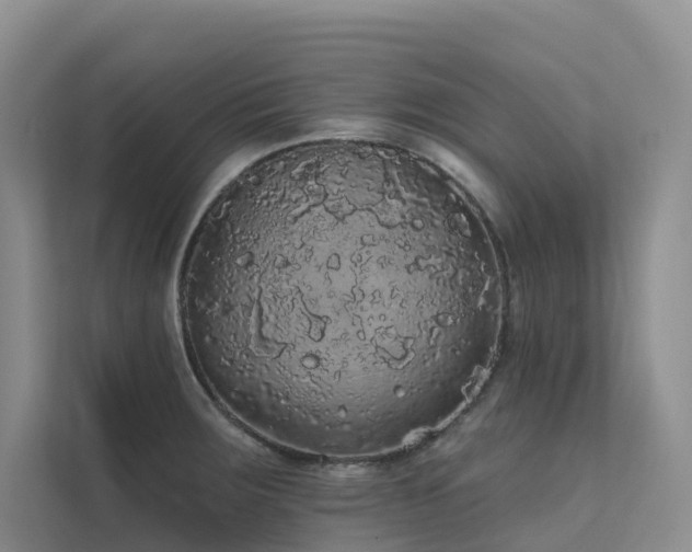 X0000112161283200908071131