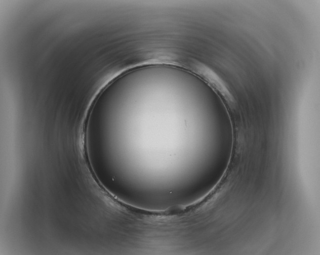 X0000112161284200908071131