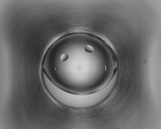 X0000112161285200908071131