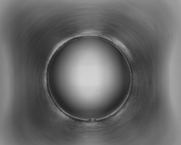 X0000112161288200908071131