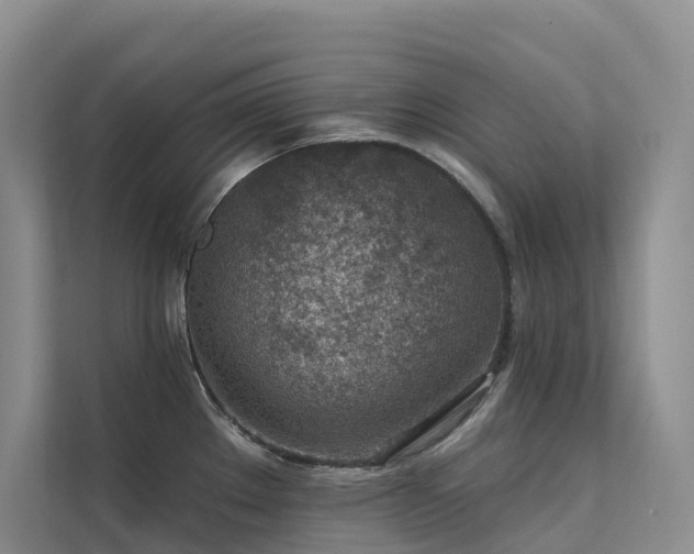 X0000112161289200908071131