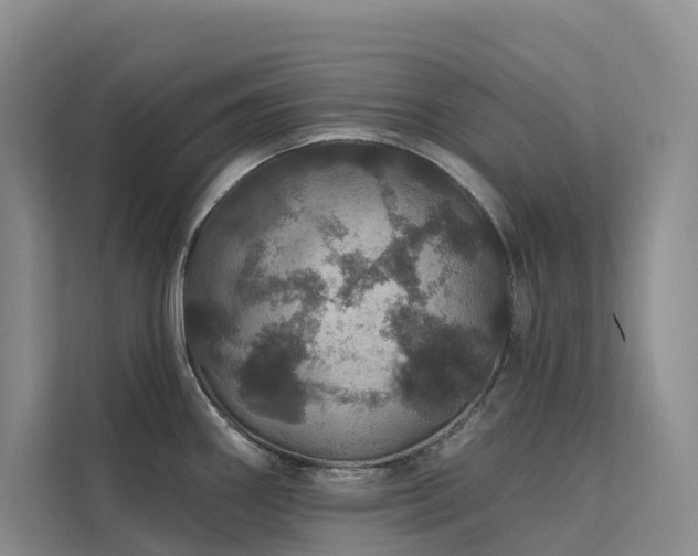X0000112161290200908071131