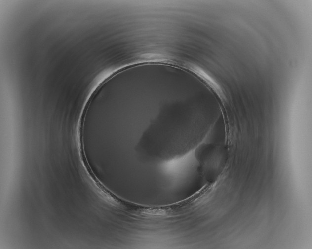 X0000112161291200908071131