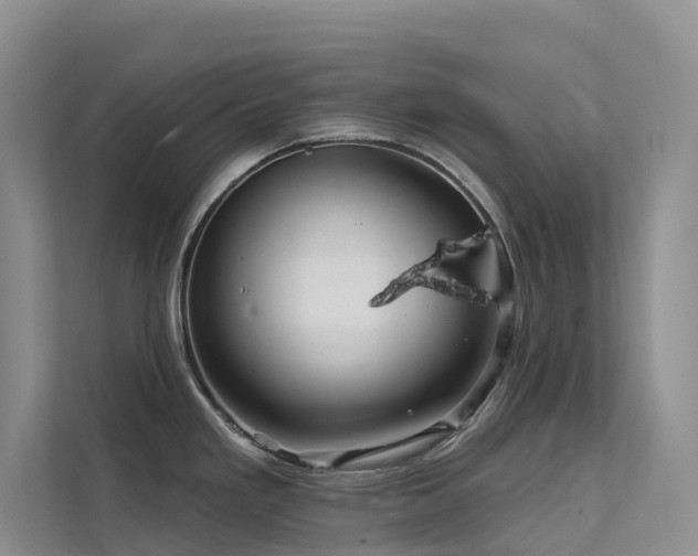 X0000112161293200908071130