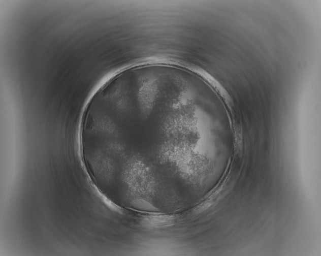 X0000112161294200908071130