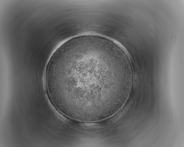 X0000112161295200908071130