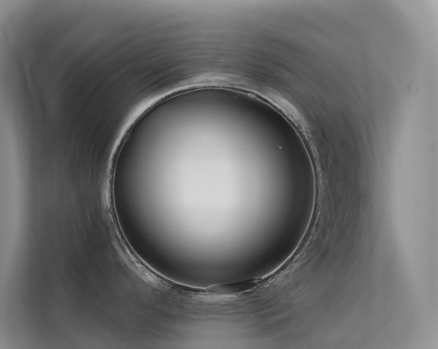 X0000112161296200908071130