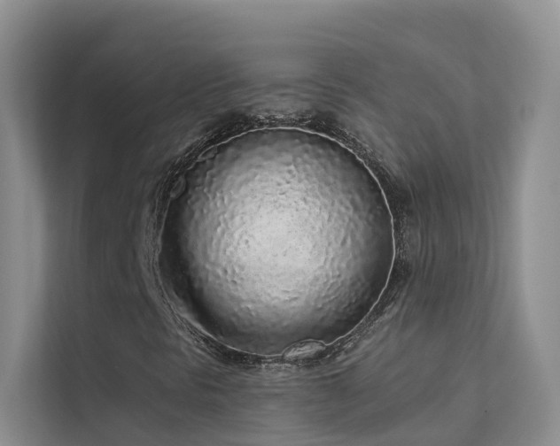 X0000112161297200908071130