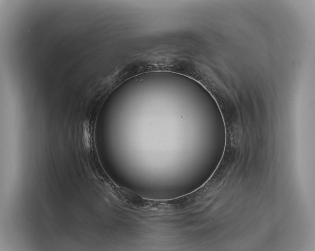 X0000112161298200908071130
