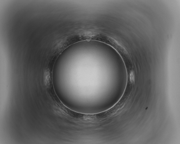 X0000112161299200908071130
