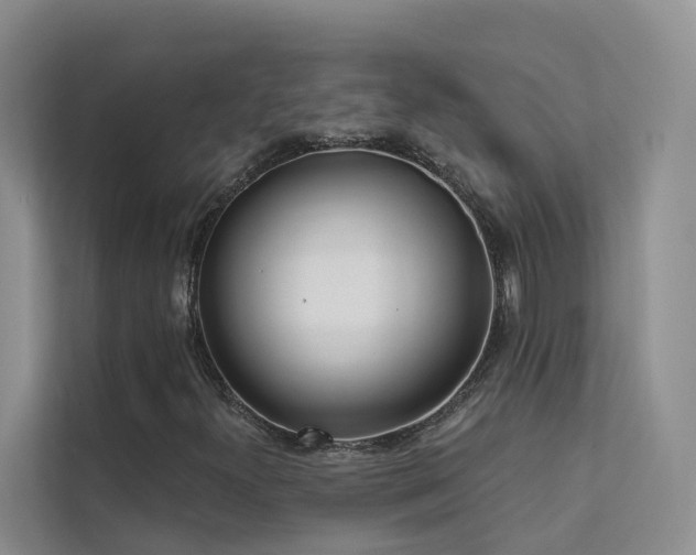 X0000112161300200908071130