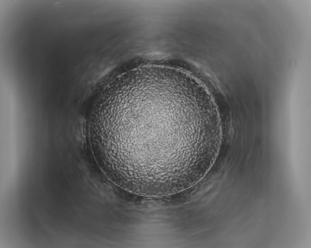 X0000112161301200908071130