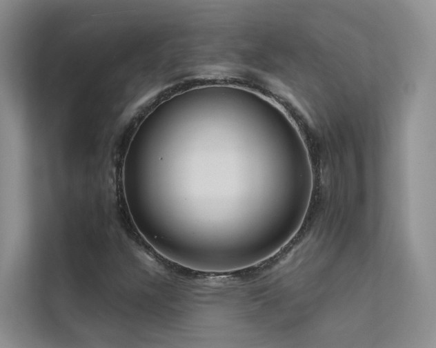 X0000112161304200908071130
