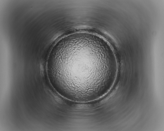 X0000112161305200908071130