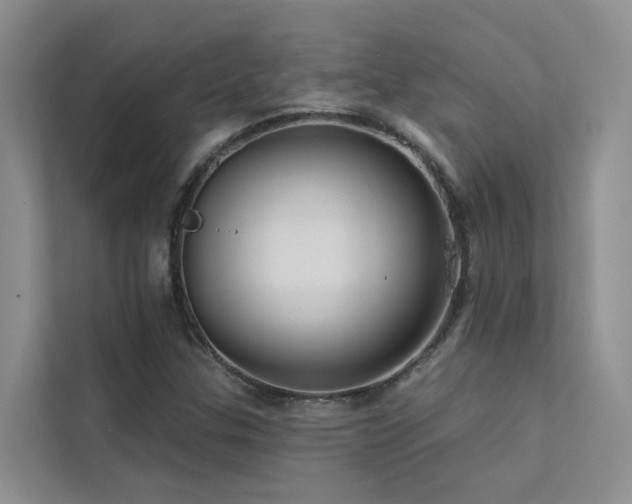 X0000112161307200908071130