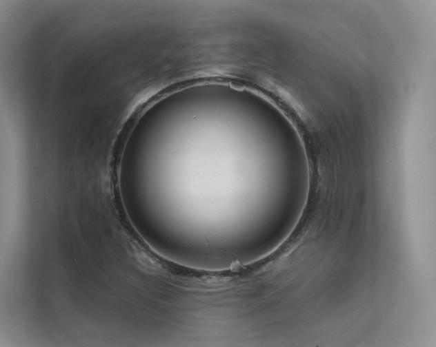X0000112161308200908071130