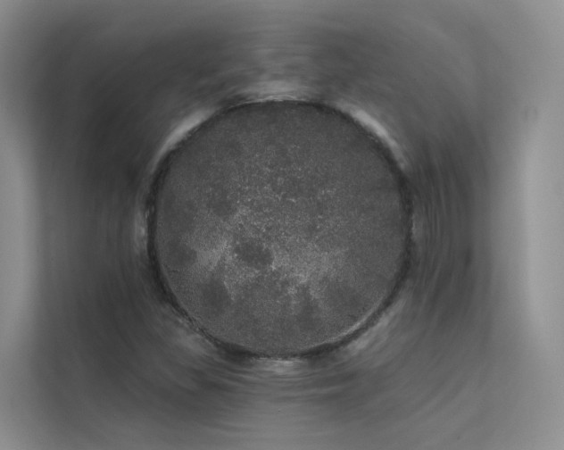 X0000112161309200908071130