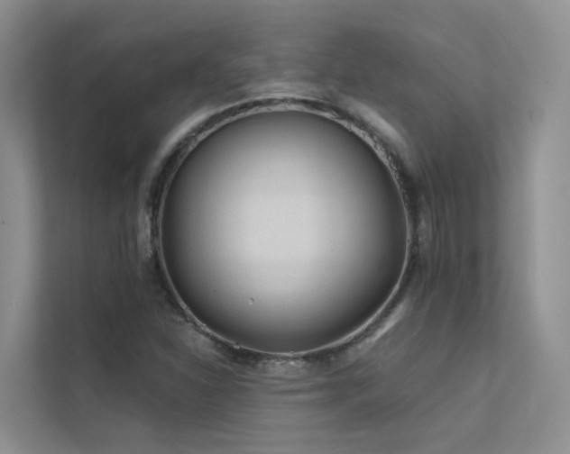 X0000112161310200908071130