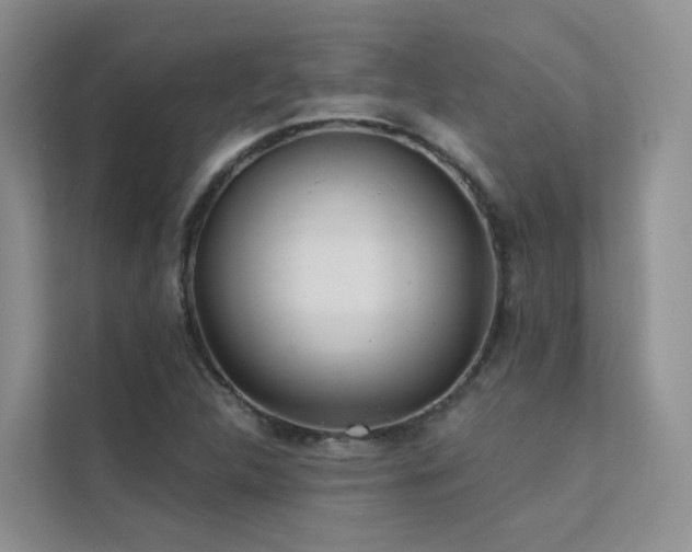 X0000112161312200908071130