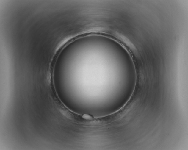 X0000112161316200908071130