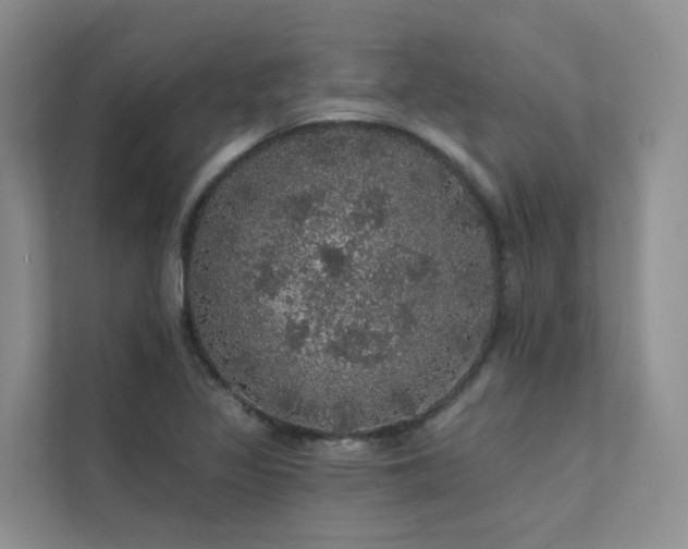 X0000112161317200908071130