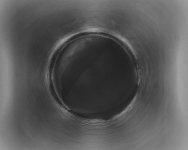 X0000112161319200908071130