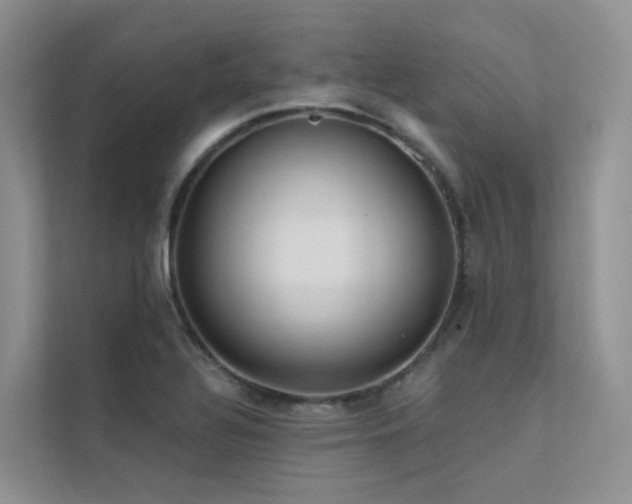 X0000112161320200908071130