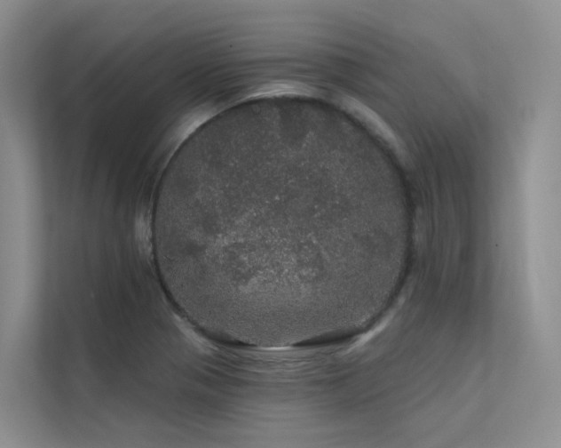 X0000112161321200908071130