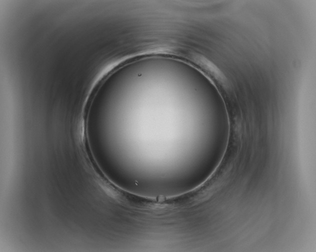 X0000112161324200908071130