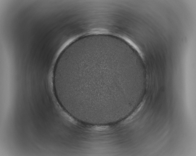 X0000112161325200908071130