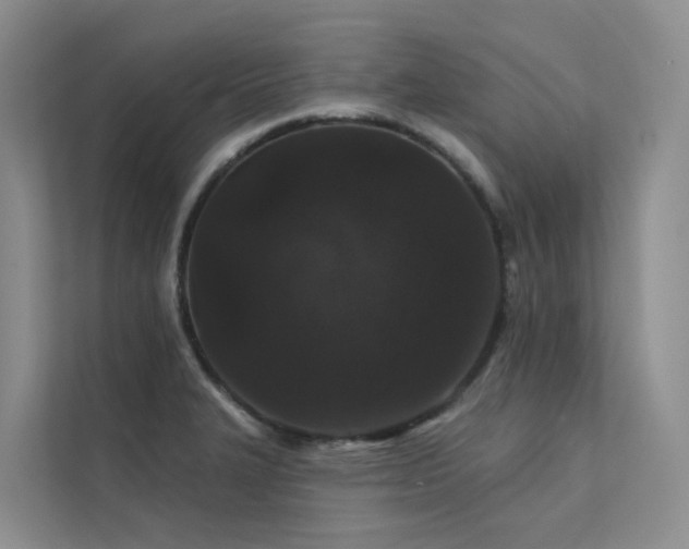 X0000112161327200908071130