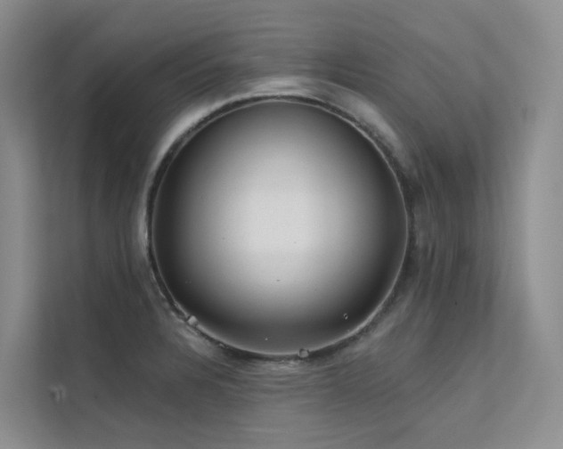 X0000112161328200908071130