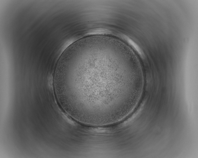 X0000112161329200908071130