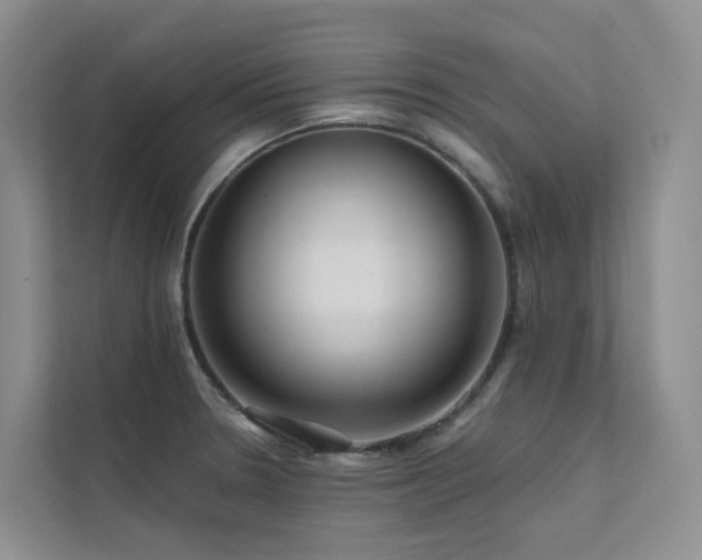 X0000112161330200908071130